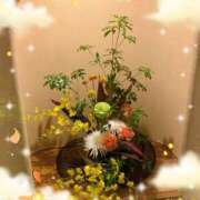 ヒメ日記 2025/02/10 02:17 投稿 はなぶさ 東京人妻セレブリティ（ユメオト）