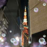 ヒメ日記 2025/02/12 01:09 投稿 はなぶさ 東京人妻セレブリティ（ユメオト）