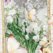 ヒメ日記 2025/02/16 10:12 投稿 はなぶさ 東京人妻セレブリティ（ユメオト）