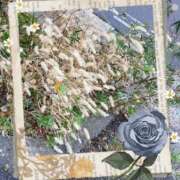 ヒメ日記 2025/02/19 11:12 投稿 はなぶさ 東京人妻セレブリティ（ユメオト）