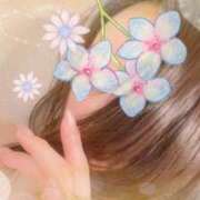 ヒメ日記 2025/02/24 11:50 投稿 はなぶさ 東京人妻セレブリティ（ユメオト）