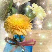 ヒメ日記 2025/02/27 14:11 投稿 はなぶさ 東京人妻セレブリティ（ユメオト）