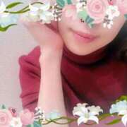 ヒメ日記 2025/03/03 09:03 投稿 はなぶさ 東京人妻セレブリティ（ユメオト）