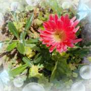 ヒメ日記 2025/03/07 11:33 投稿 はなぶさ 東京人妻セレブリティ（ユメオト）