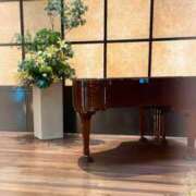 ヒメ日記 2025/03/09 10:20 投稿 はなぶさ 東京人妻セレブリティ（ユメオト）