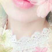 ヒメ日記 2025/03/23 10:58 投稿 はなぶさ 東京人妻セレブリティ（ユメオト）