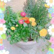 ヒメ日記 2025/03/25 11:40 投稿 はなぶさ 東京人妻セレブリティ（ユメオト）