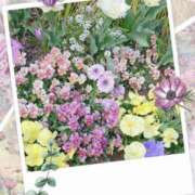 ヒメ日記 2025/03/27 00:32 投稿 はなぶさ 東京人妻セレブリティ（ユメオト）