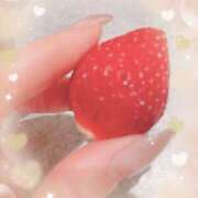 ヒメ日記 2025/03/28 11:23 投稿 はなぶさ 東京人妻セレブリティ（ユメオト）