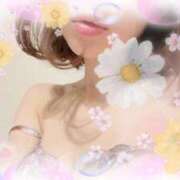 ヒメ日記 2025/04/01 21:05 投稿 はなぶさ 東京人妻セレブリティ（ユメオト）