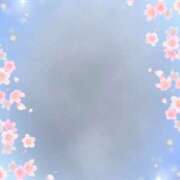 ヒメ日記 2025/04/02 12:17 投稿 はなぶさ 東京人妻セレブリティ（ユメオト）