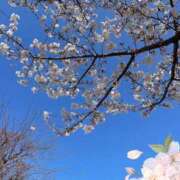 ヒメ日記 2025/04/05 00:10 投稿 はなぶさ 東京人妻セレブリティ（ユメオト）