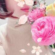 ヒメ日記 2025/04/07 14:04 投稿 はなぶさ 東京人妻セレブリティ（ユメオト）