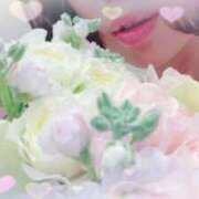 ヒメ日記 2025/04/18 00:53 投稿 はなぶさ 東京人妻セレブリティ（ユメオト）