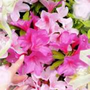 ヒメ日記 2025/04/20 11:06 投稿 はなぶさ 東京人妻セレブリティ（ユメオト）