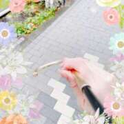 ヒメ日記 2025/04/23 10:07 投稿 はなぶさ 東京人妻セレブリティ（ユメオト）