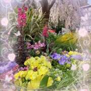 ヒメ日記 2025/05/03 23:52 投稿 はなぶさ 東京人妻セレブリティ（ユメオト）