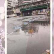 ヒメ日記 2025/05/06 10:33 投稿 はなぶさ 東京人妻セレブリティ（ユメオト）