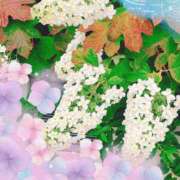 はなぶさ 6月最初の日曜日。 東京人妻セレブリティ（ユメオト）