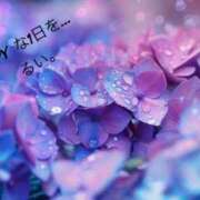 ヒメ日記 2025/06/04 11:34 投稿 佐伯るい 五十路マダム 岐阜店