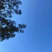 ヒメ日記 2026/02/21 15:50 投稿 佐伯るい 五十路マダム 岐阜店