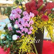 ヒメ日記 2025/01/01 20:08 投稿 水瀬りか 人妻百花