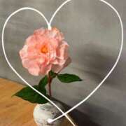 ヒメ日記 2025/02/07 21:46 投稿 三浦（ミウラ） アバンチュール(五反田)