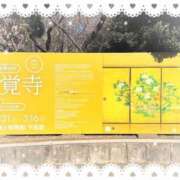 ヒメ日記 2025/02/10 20:16 投稿 三浦（ミウラ） アバンチュール(五反田)