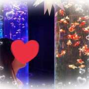 ヒメ日記 2025/02/12 23:01 投稿 三浦（ミウラ） アバンチュール(五反田)