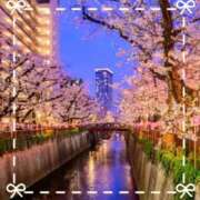 ヒメ日記 2025/04/02 22:47 投稿 三浦（ミウラ） アバンチュール(五反田)