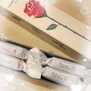 ヒメ日記 2025/04/15 18:02 投稿 三浦（ミウラ） アバンチュール(五反田)