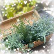 ヒメ日記 2025/05/14 09:16 投稿 三浦（ミウラ） アバンチュール(五反田)