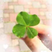 ヒメ日記 2025/06/04 07:01 投稿 三浦（ミウラ） アバンチュール(五反田)