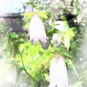 ヒメ日記 2025/06/14 21:01 投稿 三浦（ミウラ） アバンチュール(五反田)