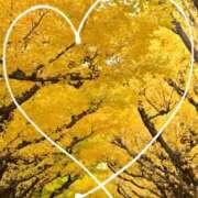 ヒメ日記 2025/11/22 08:46 投稿 三浦（ミウラ） アバンチュール(五反田)