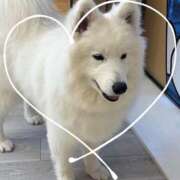 ヒメ日記 2025/11/25 22:01 投稿 三浦（ミウラ） アバンチュール(五反田)