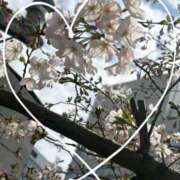 ヒメ日記 2026/03/29 23:01 投稿 三浦（ミウラ） アバンチュール(五反田)