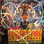 ヒメ日記 2026/04/13 20:46 投稿 三浦（ミウラ） アバンチュール(五反田)