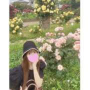 ヒメ日記 2025/05/25 12:03 投稿 りおん ビギナーズ神戸