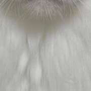 のの ごめんなさい 京都ホテヘル倶楽部