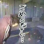 ヒメ日記 2025/06/22 00:21 投稿 そら 21世紀