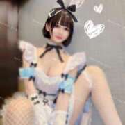 ヒメ日記 2025/03/05 06:35 投稿 さくら コルドンブルー