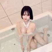 ヒメ日記 2025/03/30 22:35 投稿 さくら コルドンブルー