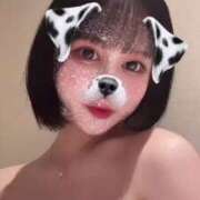 ヒメ日記 2025/03/30 22:48 投稿 さくら コルドンブルー