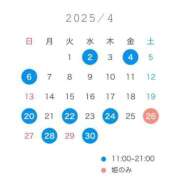 ヒメ日記 2025/03/31 10:31 投稿 さくら コルドンブルー