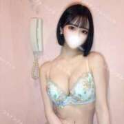 ヒメ日記 2025/06/30 10:45 投稿 さくら コルドンブルー