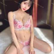 ヒメ日記 2025/07/29 18:06 投稿 さくら コルドンブルー