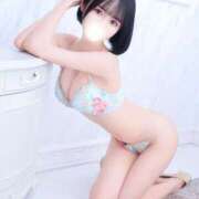 ヒメ日記 2025/08/01 23:05 投稿 さくら コルドンブルー