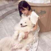 ヒメ日記 2025/08/14 10:32 投稿 さくら コルドンブルー