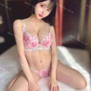 ヒメ日記 2025/08/23 10:30 投稿 さくら コルドンブルー